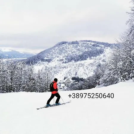 Forest Apartment Mavrovo