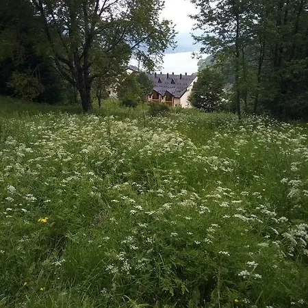 Apartment Forest Mavrovo